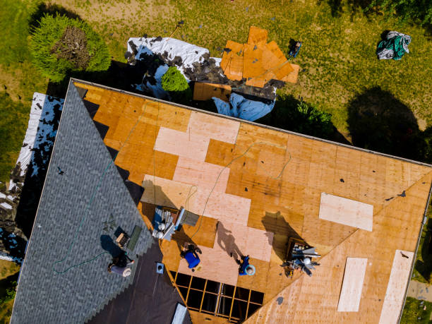 Best Best Roofing Contractors  in Monterey, TN
