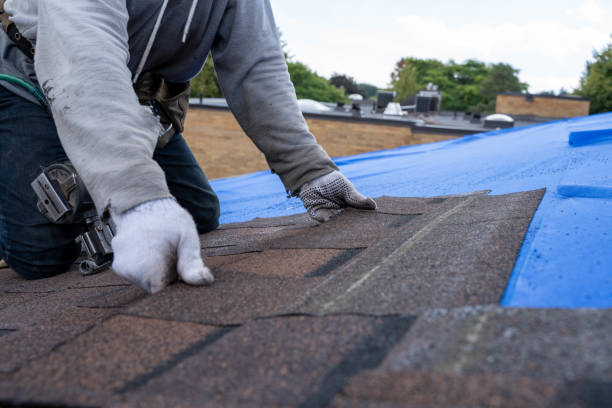 Best Roof Repair Services  in Monterey, TN