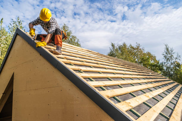 Best Roof Gutter Cleaning  in Monterey, TN