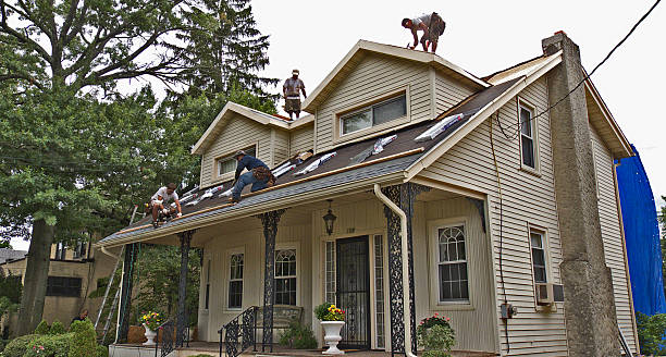 Best Gutter Installation and Roofing  in Monterey, TN