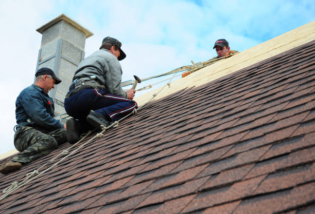 Best Best Roofing Contractors  in Monterey, TN
